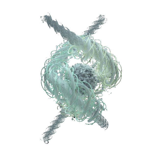 Express Medical Exam