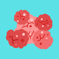 Genetic testing - Cancer